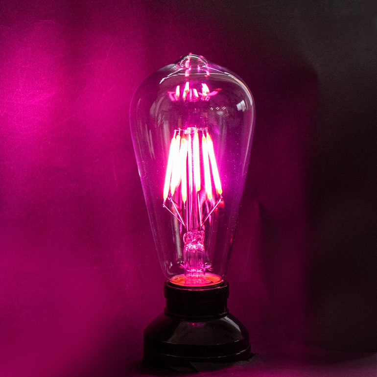 ピンク色フィラメント電球点灯