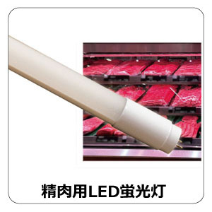 LED精肉用蛍光灯