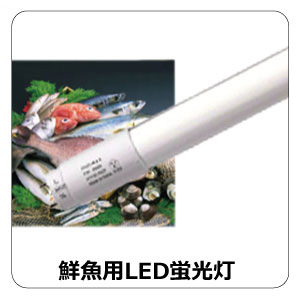LED鮮魚用蛍光灯
